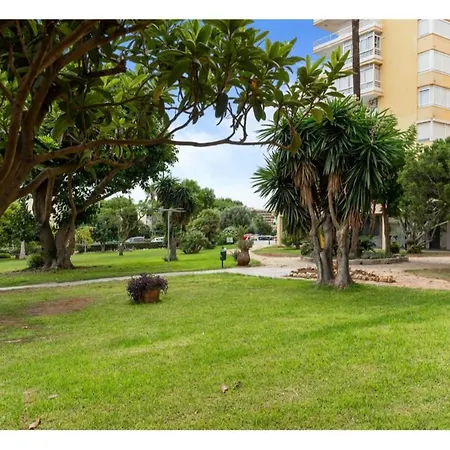 Casa Maria At Parrot At Carihuela